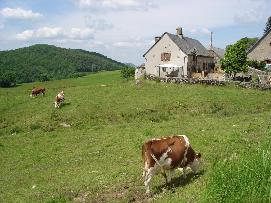 Chez Marraine Villa Sauvat Exterior photo